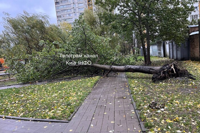 ДТЕК повідомив про руйнівні наслідки урагану на Київщині