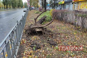 Наслідки негоди у столиці