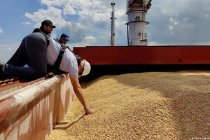 Cкорочення термінів повернення валютної виручки може бути пов’язано зі зловживаннями кількох компаній, які возять зерно «по-чорному» – нардеп