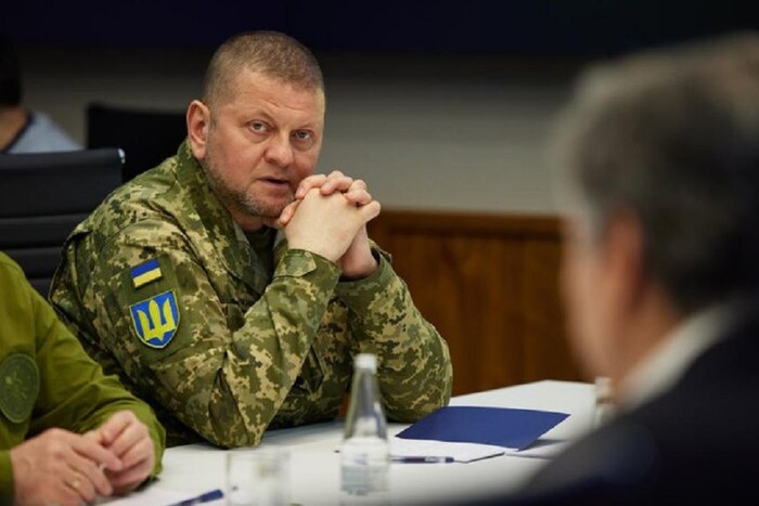 Статья Залужного: почему украинцы распережевались?