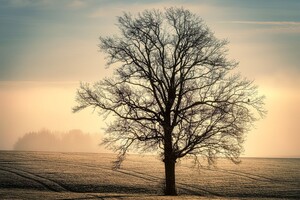 5 ноября: какой сегодня праздник, приметы и запреты