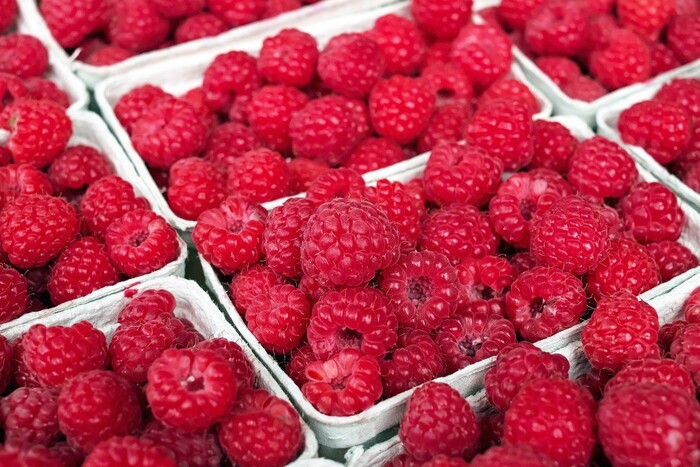 Украинские экспортеры ягод избегают одной страны