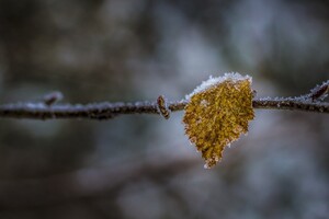 9 ноября: какой сегодня праздник, приметы и запреты