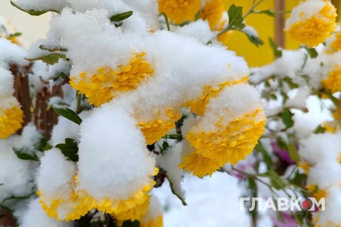 У Києві випав перший сніг (фото)