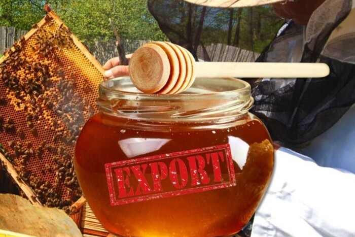 Експорт меду з України: який результат показали бджолярі