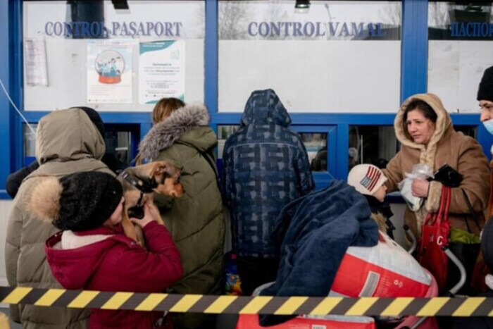 Сколько жителей Украины готовы остаться в Дании после войны? Красноречивые результаты опроса