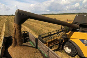 Аграрии бьют тревогу: предприятия массово закрываются из-за кризиса