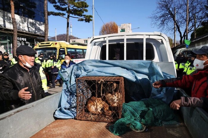 У Південній Кореї спалахнув протест через заборону собачого мʼяса
