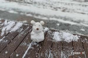 Аномальне тепло та опади: якою погода буде у грудні