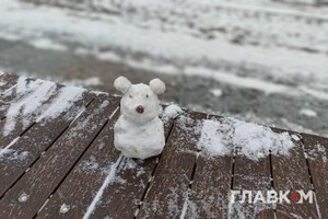 Аномальное тепло и осадки: какая погода будет в декабре