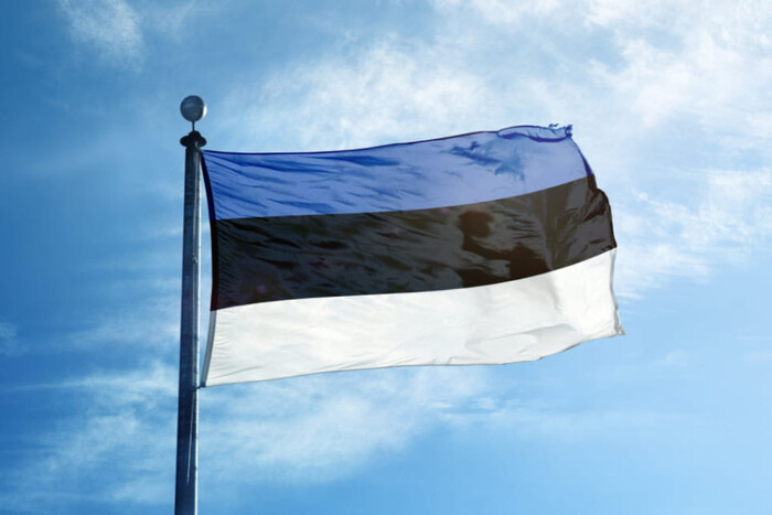 Естонія може закрити кордон із РФ: названо причину