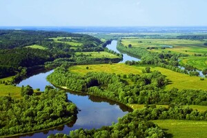 Як захистити ліси, степи та болота: чому парламент блокує євроінтеграційні процеси і коли буде Смарагдова мережа?