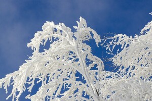 9 декабря: какой сегодня праздник, приметы и запреты