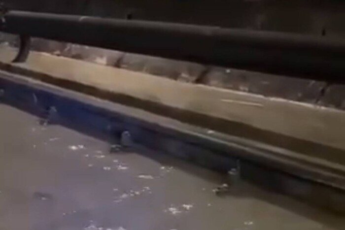 Потоп у столичному метро (відео)