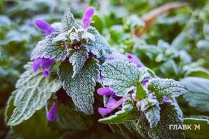 Хмарно, з періодичними опадами: прогноз погоди на 10 грудня