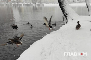 Какая будет погода до Рождества: прогноз синоптиков