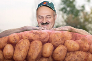 Лукашенко загодовує свиней елітною картоплею