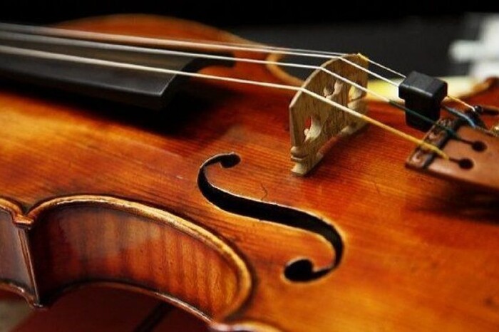 На Прикарпатті церковного дяка засудили за крадіжку скрипки в дитини