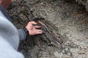 Окрім математики знахідка також містить інформацію ще про п’ять мистецтв