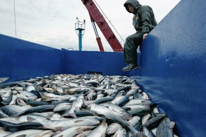 Експортна партія російської риби, призначена китайцям, визнана отруєною