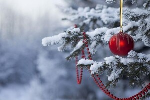 Якою буде погода на Новий рік: синоптикиня здивувала прогнозом