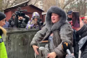 Після атаки РФ вогнеборці визволили з-під завалів домашніх улюбленців: зворушливе відео