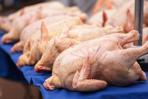 В России возник дефицит популярного продукта