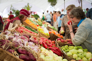 В Украине подорожают овощи и фрукты: как изменятся цены