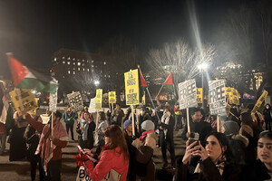 У США відбулися протести на підтримку Ємену (фото, відео)