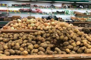 Україна розпочала завозити польську картоплю: чи допоможе це зменшити ціну 