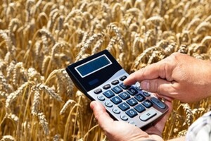 Підтримка сільського господарства: на яку суму видали кредитів для аграріїв