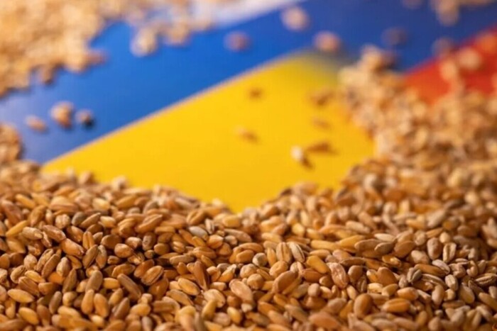 Центр національного спротиву розповів, скільки зерна росіяни вивезли з ТОТ