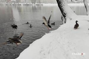 Ожеледиця та невеликий сніг: прогноз погоди на 21 січня