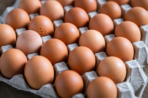 Яєць по 17 грн не було?  Членкиня громадської ради Міноборони зробила сенсаційну заяву