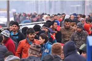 Відкриття центрів для мігрантів: парламент Італії ухвалив рішення