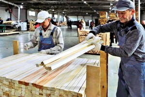 Блокада кордону: асоціація деревообробників звернулася до Офісу президента й уряду