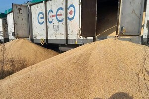 Знищено понад 150 тонн зерна