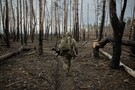 Солдат української армії в лісі поблизу російських позицій. Упродовж останніх восьми років за підтримки ЦРУ була 