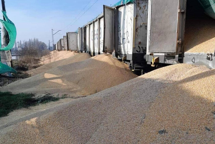 Порушники, які розсипали українське зерно на кордоні з Польщею, постали перед судом 