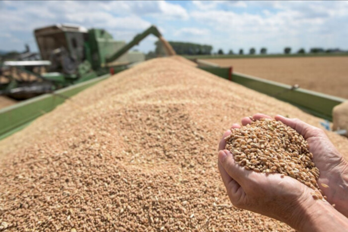 ЄС збільшить контроль за імпортом українського зерна через протести аграріїв