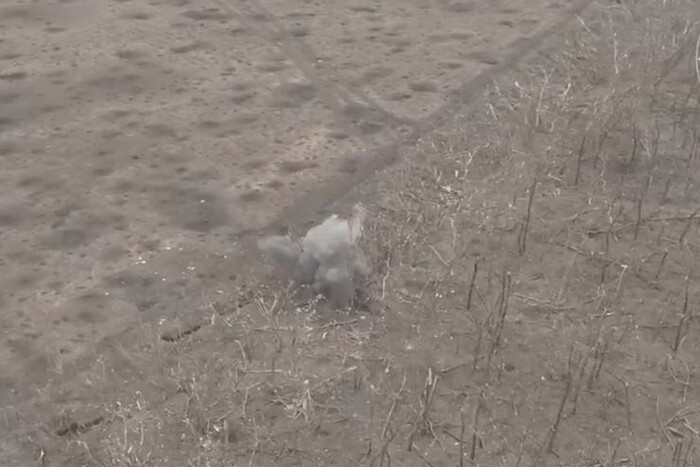 ЗСУ показали, як знищували  окупантів на Авдіївському напрямку (відео)