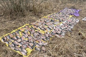 «Рекордний улов» на 730 тис. гривень. На Київщині затримано рибалок-браконьєрів