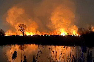 Stolitsa Group заявляє, що неприємно вражена фактом пожежі поблизу озера Тягле на київських Осокорках