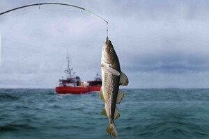 Путін заборонив британським рибалкам ловити рибу в частині Баренцового моря