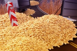 Експорт зерна з України: Польща зробила нову пропозицію