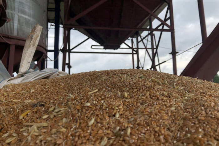 Литва пропонує Євросоюзу заборонити імпорт зерна з РФ та Білорусі