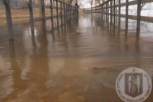 У столиці рекордно піднявся рівень води у Дніпрі (відео)