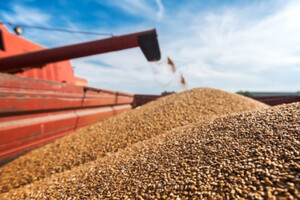 Чехія запропонує заборонити імпорт російського зерна до країн ЄС