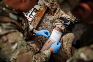 Протягом чотирьох місяців навчання цивільні лікарі можуть набути знань у військовій медицині і вже отримати офіцерське звання