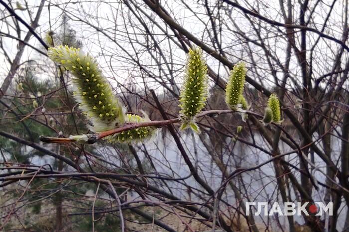 Нарешті весняне потепління: якою буде погода в Україні 22 березня
